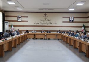 دیدار جمعی از فعالان ستاد دکتر پزشکیان در شهرستان مراغه با مرتضی محمدزاده