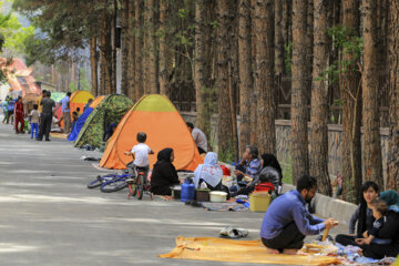 لذت طبیعت گردی با مسئولیت پذیری