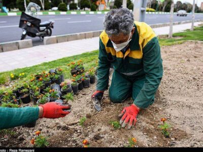 ۴۷ درصد شهروندان خواستار توسعه فضای سبز شدند
