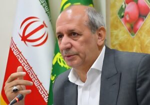 تولید ۹۹ درصد لپه کشور در شهرستان آذرشهر