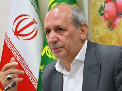 تولید ۹۹ درصد لپه کشور در شهرستان آذرشهر