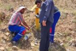 قريب به ۸ هزار كيلومتر از خطوط لوله منطقه ۸ عمليات ولتاژگيري شد