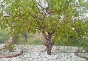 تداوم افزایش دما در آذربایجان شرقی/ احتمال بارش تگرگ در نواحی مستعد