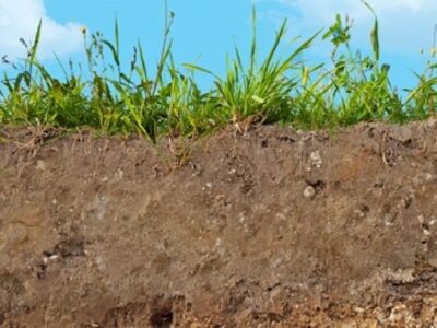 وضعیت خاک اراضی کشاورزی نگران کننده است