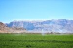 استفاده غیراقتصادی از آب، مانع توسعه کشاورزی و افزایش تولیدات غذایی است