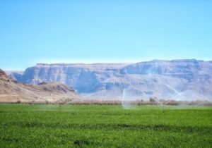 استفاده غیراقتصادی از آب، مانع توسعه کشاورزی و افزایش تولیدات غذایی است