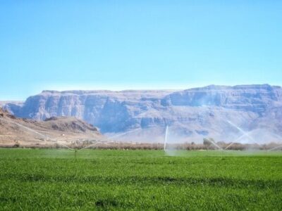 استفاده غیراقتصادی از آب، مانع توسعه کشاورزی و افزایش تولیدات غذایی است