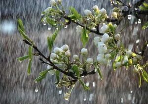 ۶۸.۶ میلی‌متر بارش سه روزه در کلیبر