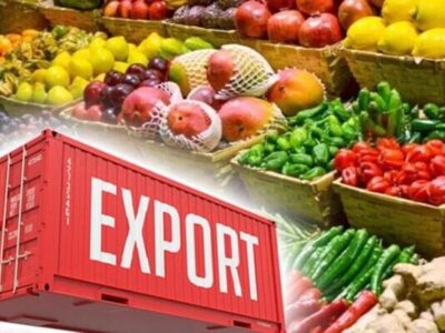 افزایش ۳۸ درصدی ارزش صادرات بخش کشاورزی در آذربایجان شرقی