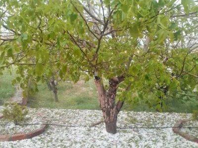 هشدار بارش تگرگ در شهرهای شمالی و شرقی آذربایجان‌شرقی