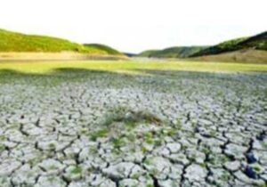بیش‌از ۳۰ درصد اراضی آبی آذربایجان‌شرقی تحت تأثیر شوری قرار دارند