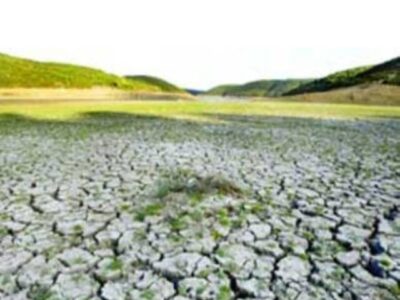 بیش‌از ۳۰ درصد اراضی آبی آذربایجان‌شرقی تحت تأثیر شوری قرار دارند