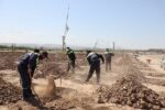 مدیریت منابع آبی با تغییر الگوی کشت حوزه فضای سبز شهری