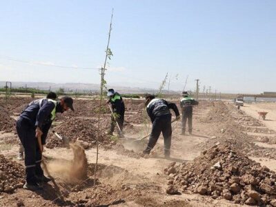 مدیریت منابع آبی با تغییر الگوی کشت حوزه فضای سبز شهری