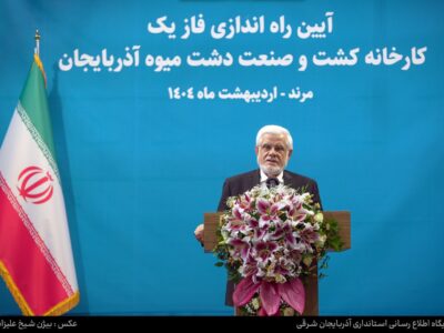 دولت باید تسهیل‌گر و نه مچ‌گیر باشد