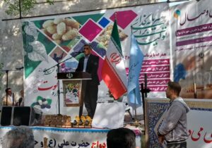 تولید یکهزار و ۳۰۰ تن توت در آذربایجان شرقی
