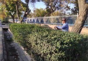 آغاز عملیات فرم‌دهی ارقام ردیفی در سطح شهر