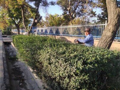 آغاز عملیات فرم‌دهی ارقام ردیفی در سطح شهر