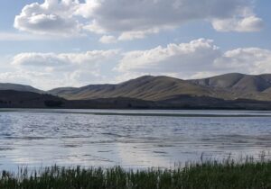 افزایش ۶ سانتی متری تراز تالاب قوری گل با انتقال ۷۰۰ هزار مترمکعب آب