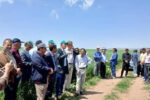 اجرای ۱۰۰ پایگاه نوآوری کشاورزی در کشور