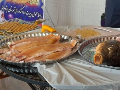 جشنواره‌ای با طعم ماهی در مراغه