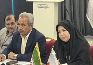 مشاور دستیار رئیس جمهور: سرمایه گذاران نباید در پیچ و خم ادارات سرگردان باشند