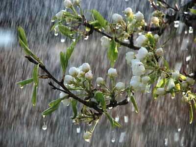 آذربایجان‌شرقی اواخر هفته بارانی است
