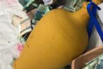 سنت حسنه‌که از معلم فقید تبریزی بر جا ماند/اهدای قلک دانش‌آموزان به بیماران مبتلا به سرطان