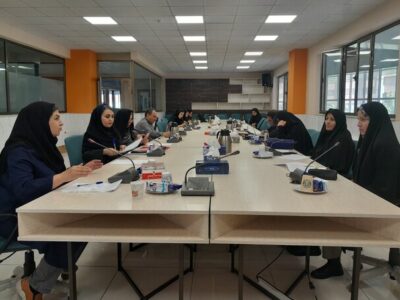 نتایج طرح‌های تحقیقاتی با محوریت جوانی جمعیت اعلام شد