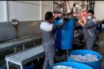 مکانیزاسیون و زنجیره تولید بخش کشاورزی مراغه توسعه می‌یابد