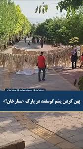 پهن کردن پشم گوسفند در پارک ستارخان تبریز!