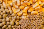 بهره برداری از واحد تولید خوراک دام و طیور در سراب