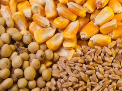 بهره برداری از واحد تولید خوراک دام و طیور در سراب