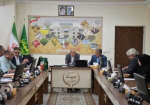 لزوم فرهنگ‌سازی برای استفاده از بذرهای اصلاح‌شده