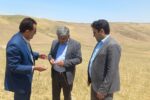 پیش بینی پرداخت ۱۳۰ هزار میلیارد ریال غرامت به بخش زراعت گندم کشور