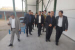 ضرورت حمایت از سرمایه‌گذاری در فرآوری سیر