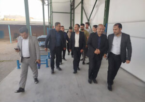 ضرورت حمایت از سرمایه‌گذاری در فرآوری سیر