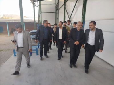 ضرورت حمایت از سرمایه‌گذاری در فرآوری سیر