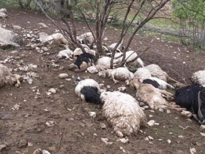 سیل «هوراند» تراکتور را هم با خود برد