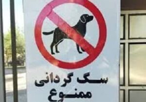 پلمب مهدسگ‌ در تبریز