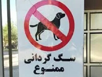 پلمب مهدسگ‌ در تبریز