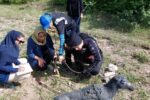 نخستین مرحله مسابقات « شبه شکار » کشور در اهر برگزار شد