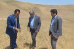 پیش بینی پرداخت ۱۳ همت غرامت بابت خشکسالی و سرمازدگی در کشور