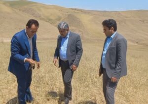 پیش بینی پرداخت ۱۳ همت غرامت بابت خشکسالی و سرمازدگی در کشور