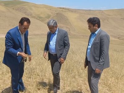 پیش بینی پرداخت ۱۳ همت غرامت بابت خشکسالی و سرمازدگی در کشور