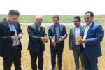 خسارت ۲۹ هزار میلیارد ریالی به کشاورزان هشترودی