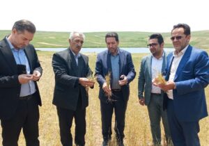 خسارت ۲۹ هزار میلیارد ریالی به کشاورزان هشترودی