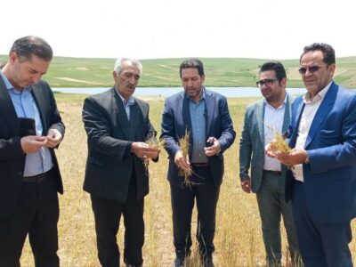 خسارت ۲۹ هزار میلیارد ریالی به کشاورزان هشترودی