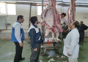 تعیین ۹ نقطه رسمی برای عرضه و ذبح بهداشتی دام در تبریز