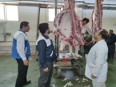 تعیین ۹ نقطه رسمی برای عرضه و ذبح بهداشتی دام در تبریز